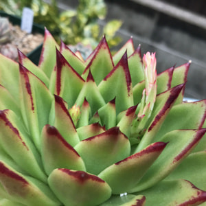 image1 - コピー.jpg